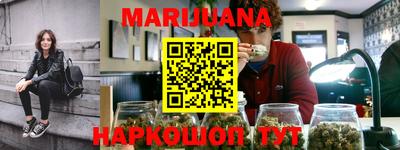 трава Гатчина